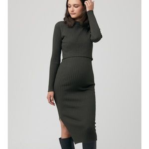 Ripe Maternity Dress